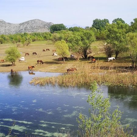 Wild Beauty House Skadar Lake Cetinje Ngoại thất bức ảnh