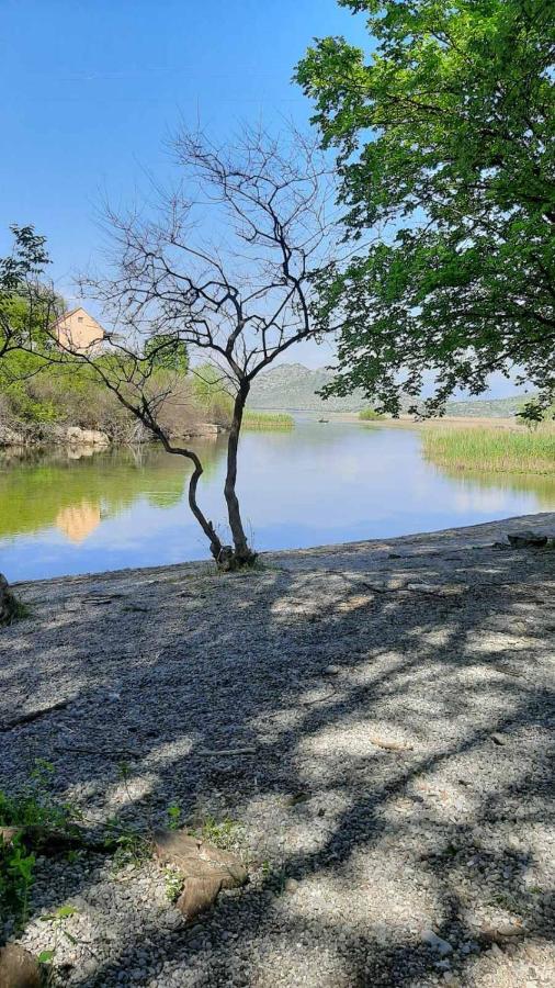 Wild Beauty House Skadar Lake Cetinje Ngoại thất bức ảnh
