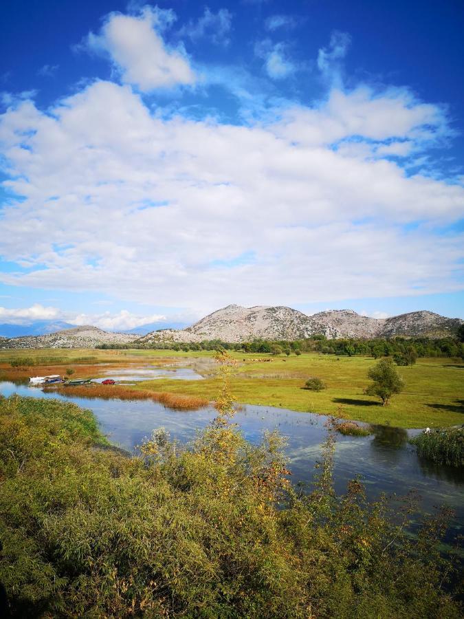 Wild Beauty House Skadar Lake Cetinje Ngoại thất bức ảnh